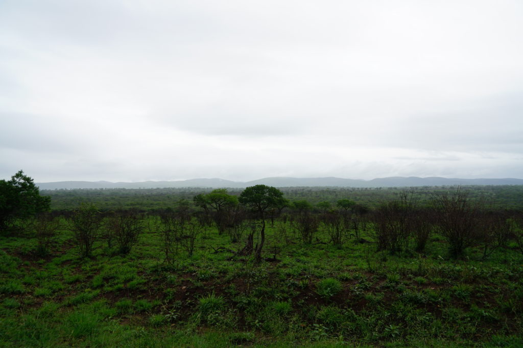 Mkhuze-Game-Reserve
